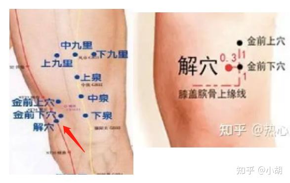 倪海厦针灸课笔记(10)足阳明胃经 下 - 知乎