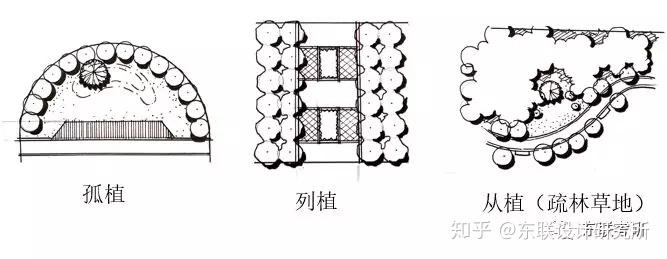 列植平面图图片