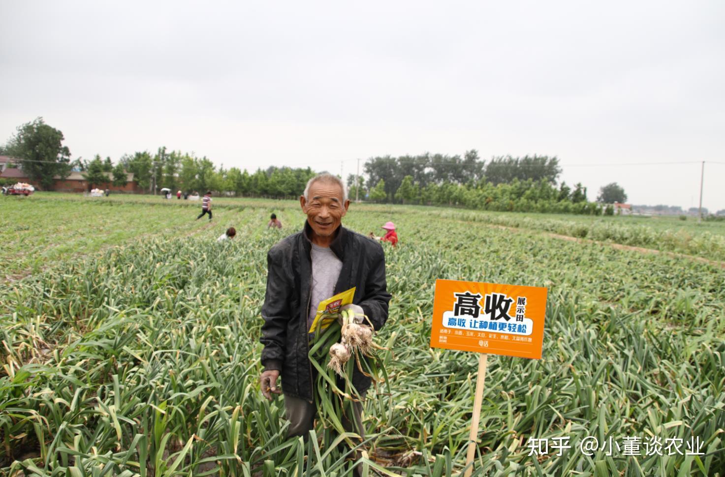 天津市大蒜生产全程机械化技术培训会在宝坻召开 | 农机新闻网