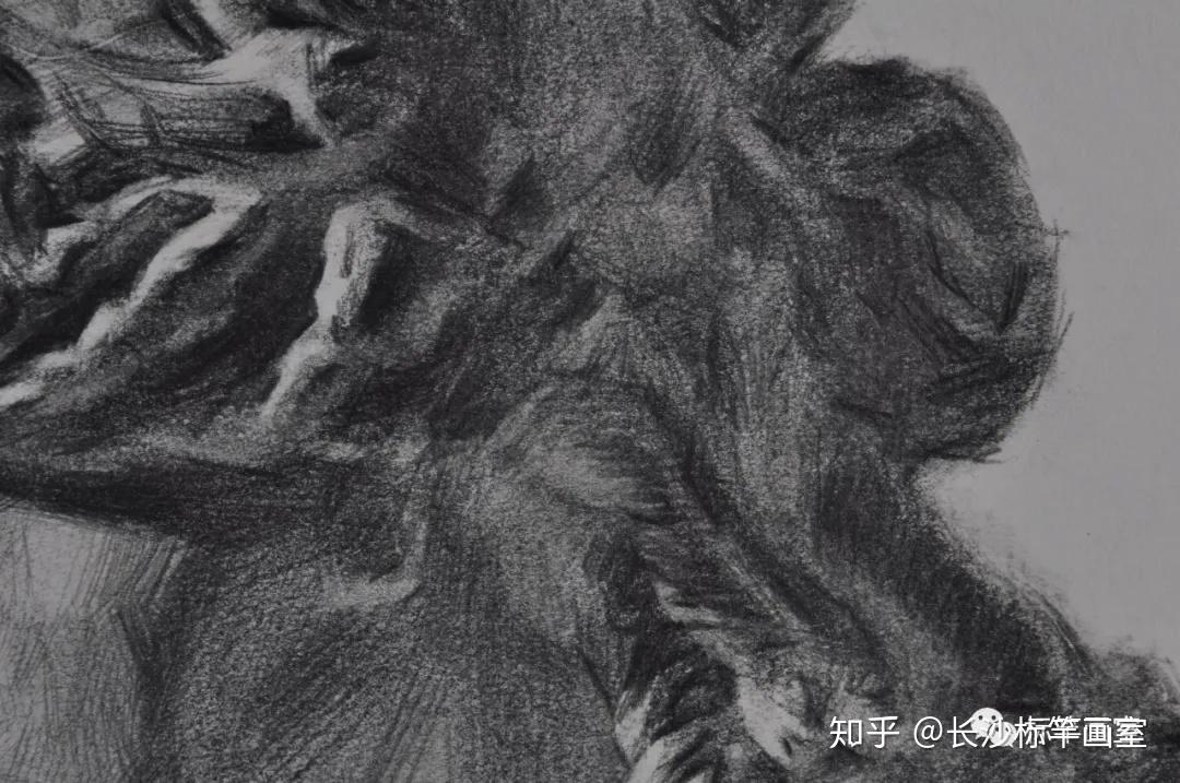 素描石膏头像标竿画室阿里阿德涅全侧面详细画法