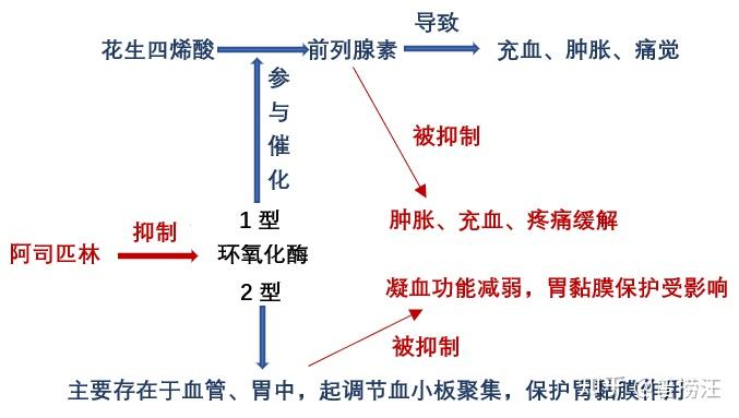 阿司匹林的功效和作用