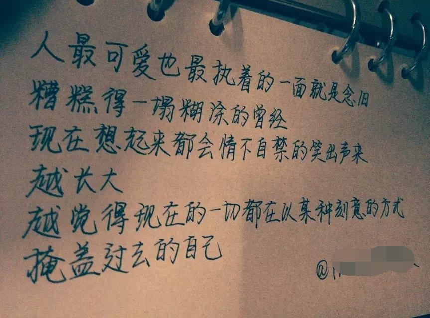 有哪些句子乍看并不是很美,但或经世事,或隔久