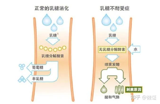 微宅送：社区超市里的"最后一百米"，如何把生鲜日用送到家门口