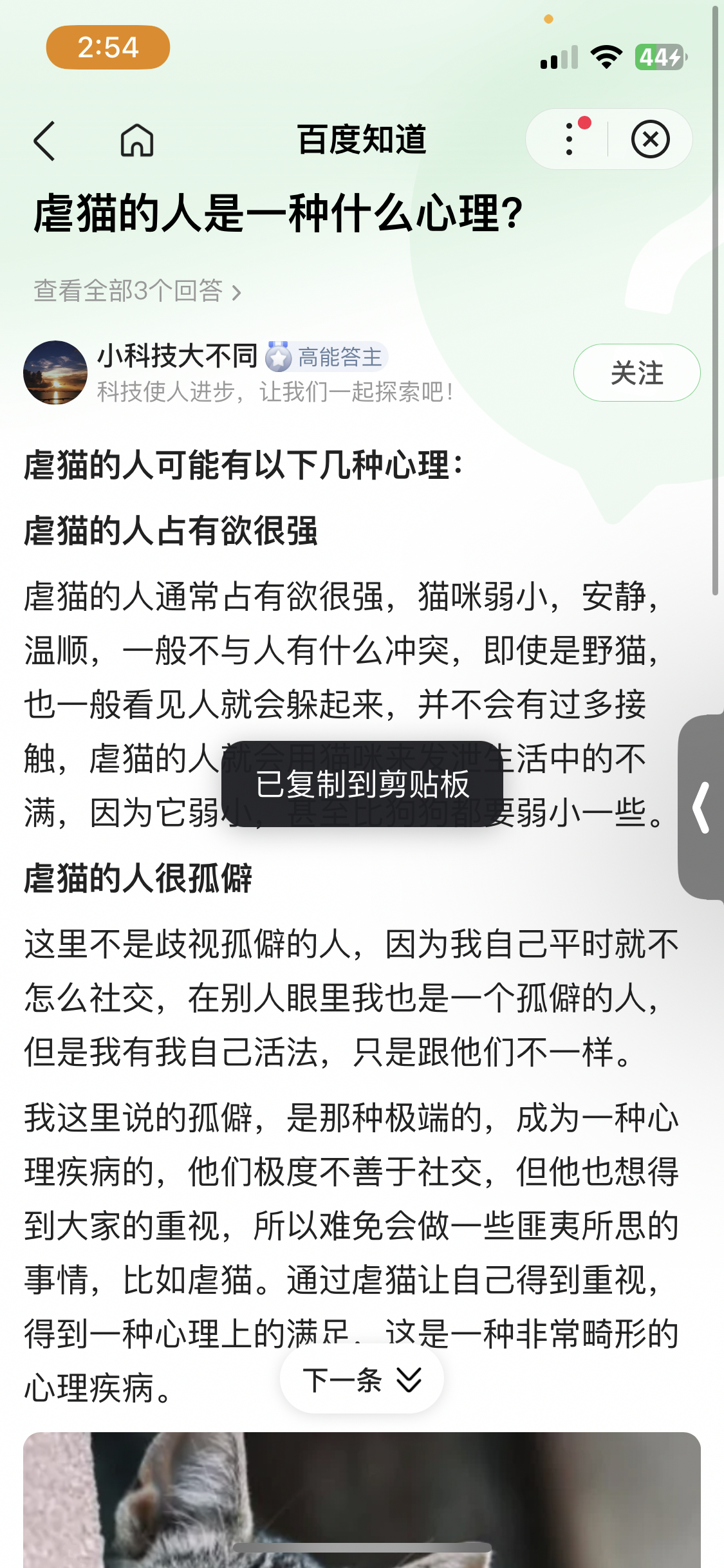 上海一网红流浪猫被虐杀？警方正在调查_凤凰网资讯_凤凰网