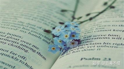 v2-1cbb2d935b9b29150dd39de84f2a7e72_r.jpg