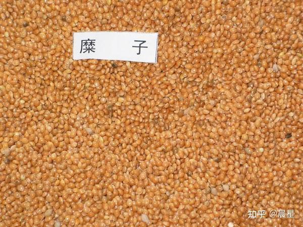 舌尖上的中国:古人都靠吃什么过活?中国古代粮食生产格局发展演变 - 知乎