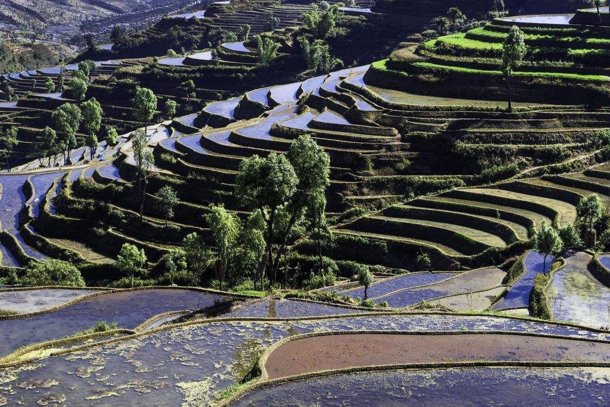 红河哈尼梯田国家湿地公园