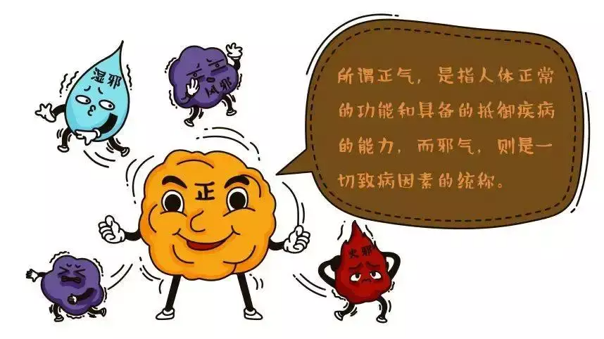 中医总讲的“扶正祛邪”扶的什么正,祛的什么邪? - 知乎