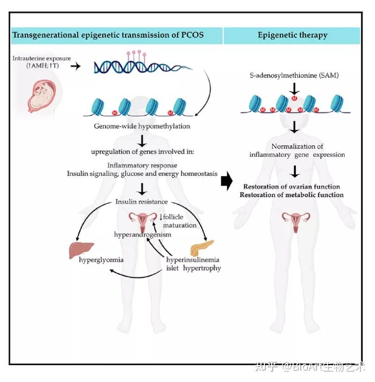 004参考文献[1]dumesic d a, oberfield s e, elisabet s v, et al.