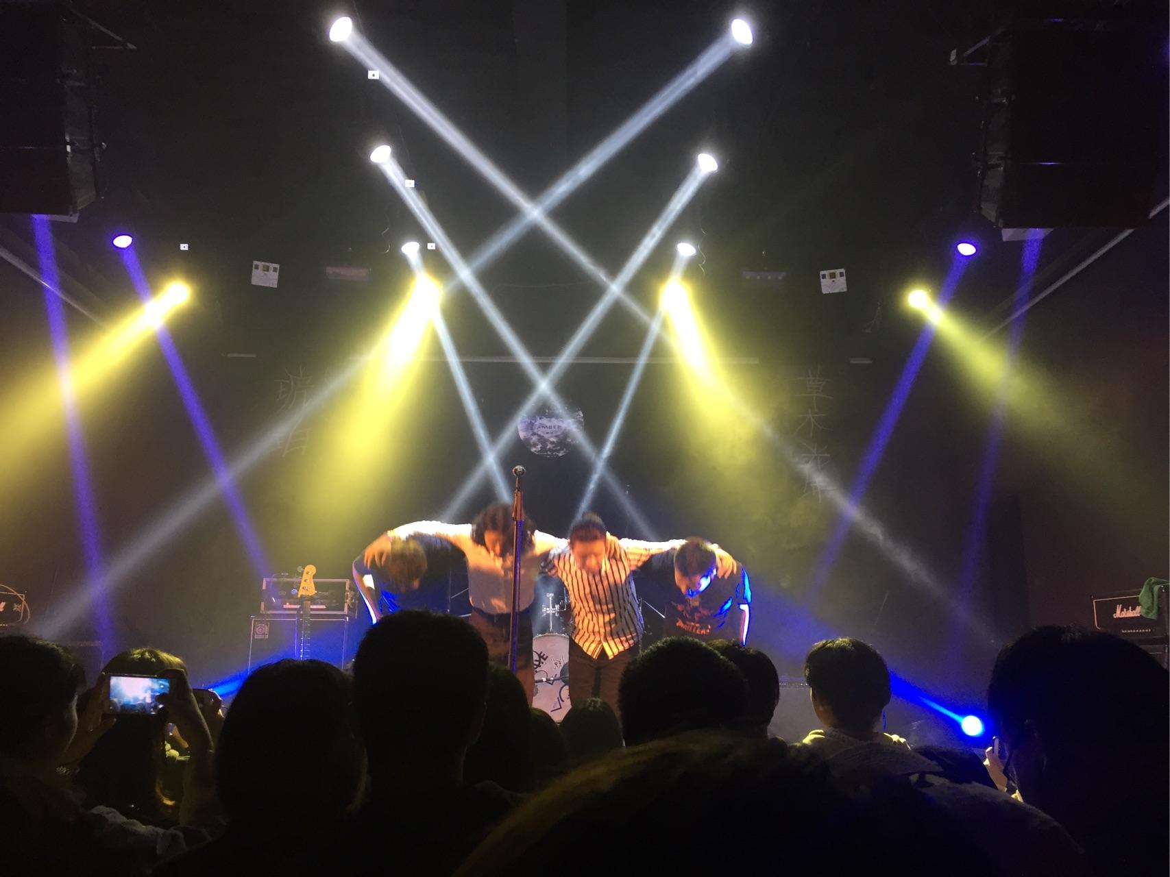 如何评价后摇乐队琥珀刚刚结束的2017年草木