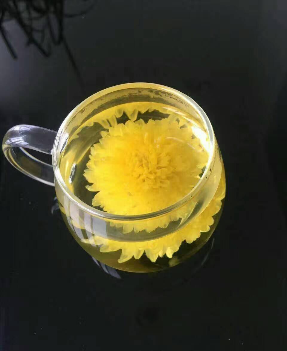 常喝婺源皇菊的好处