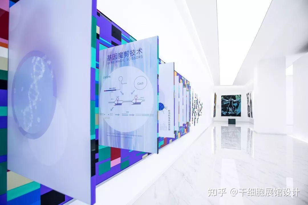 解码生命奥义：思威图干细胞展厅如何用空间叙事重塑科普认知 | 干细胞展厅设计 | 干细胞科普馆设计公司 | 细胞科学馆设计 | 细胞生命科技馆 ...