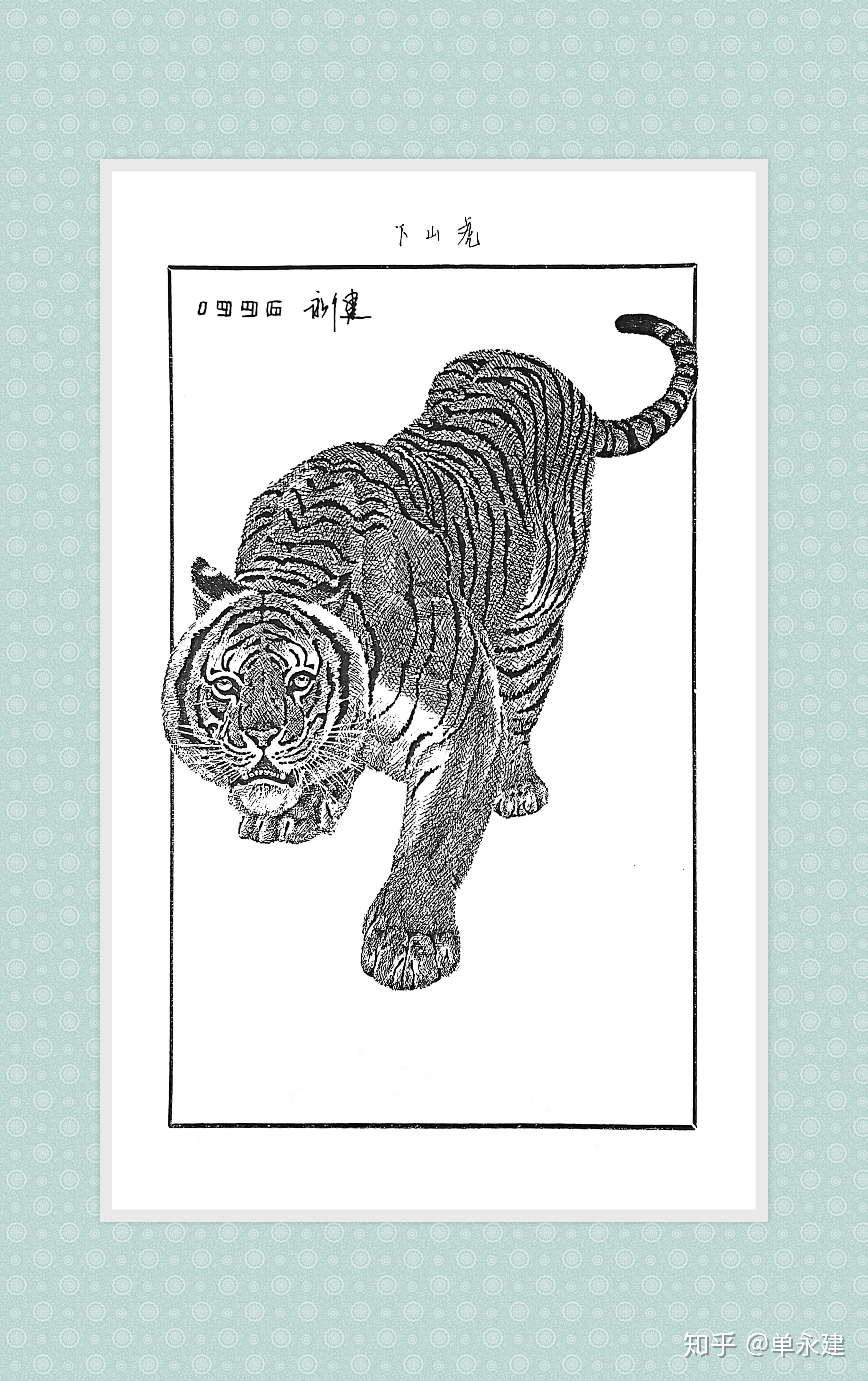 单永建画作1996年钢笔画虎2