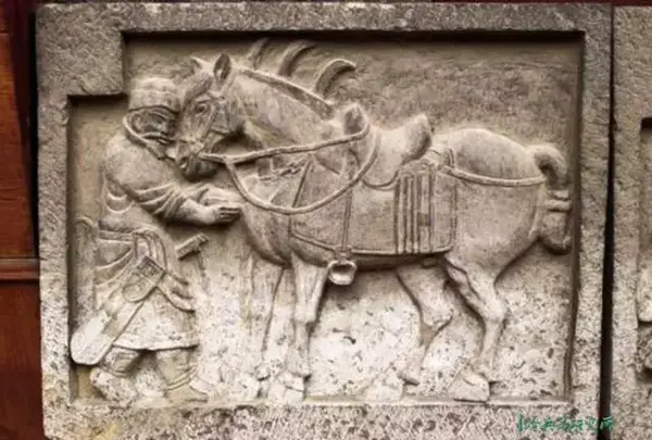 都说中国战马矮如驴,难道中国古代真的没有高头大马吗? - 知乎