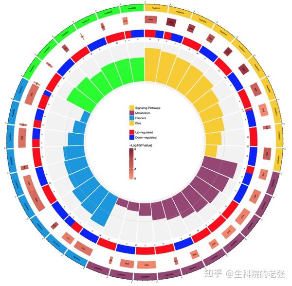最全的GO, KEGG, GSEA分析教程(R),你要的高端可视化都在这啦！[包含富集圈图] - 知乎