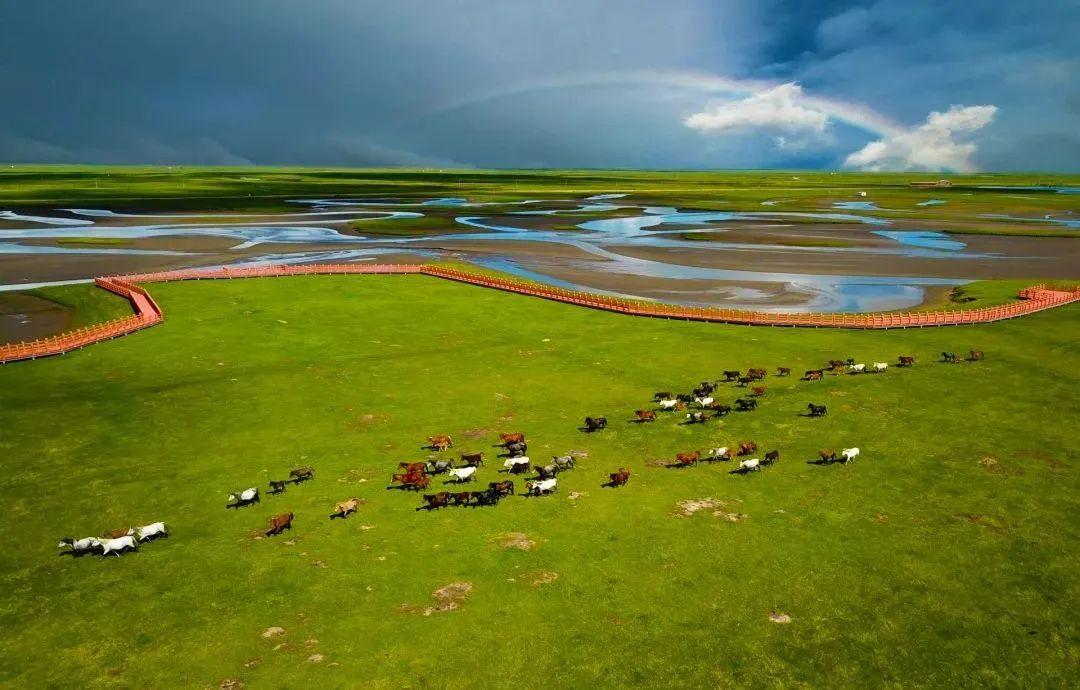 玛曲县历史文化悠久,旅游资源众多,已成功打造「天下黄河第一弯」