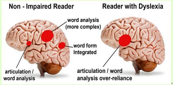 全文双语双文是通往高阶大脑之路银湖沙龙纪念王国维先生逝世90周年