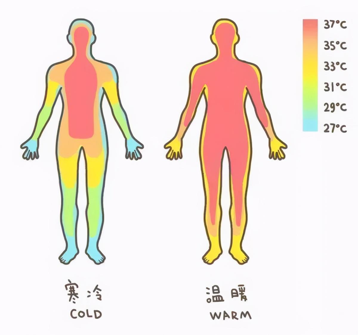 不足37科学家发现人体温度正在下降原因是什么