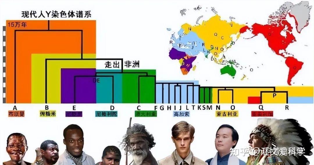 惊爆真相复旦中国基因图谱科学还是危机