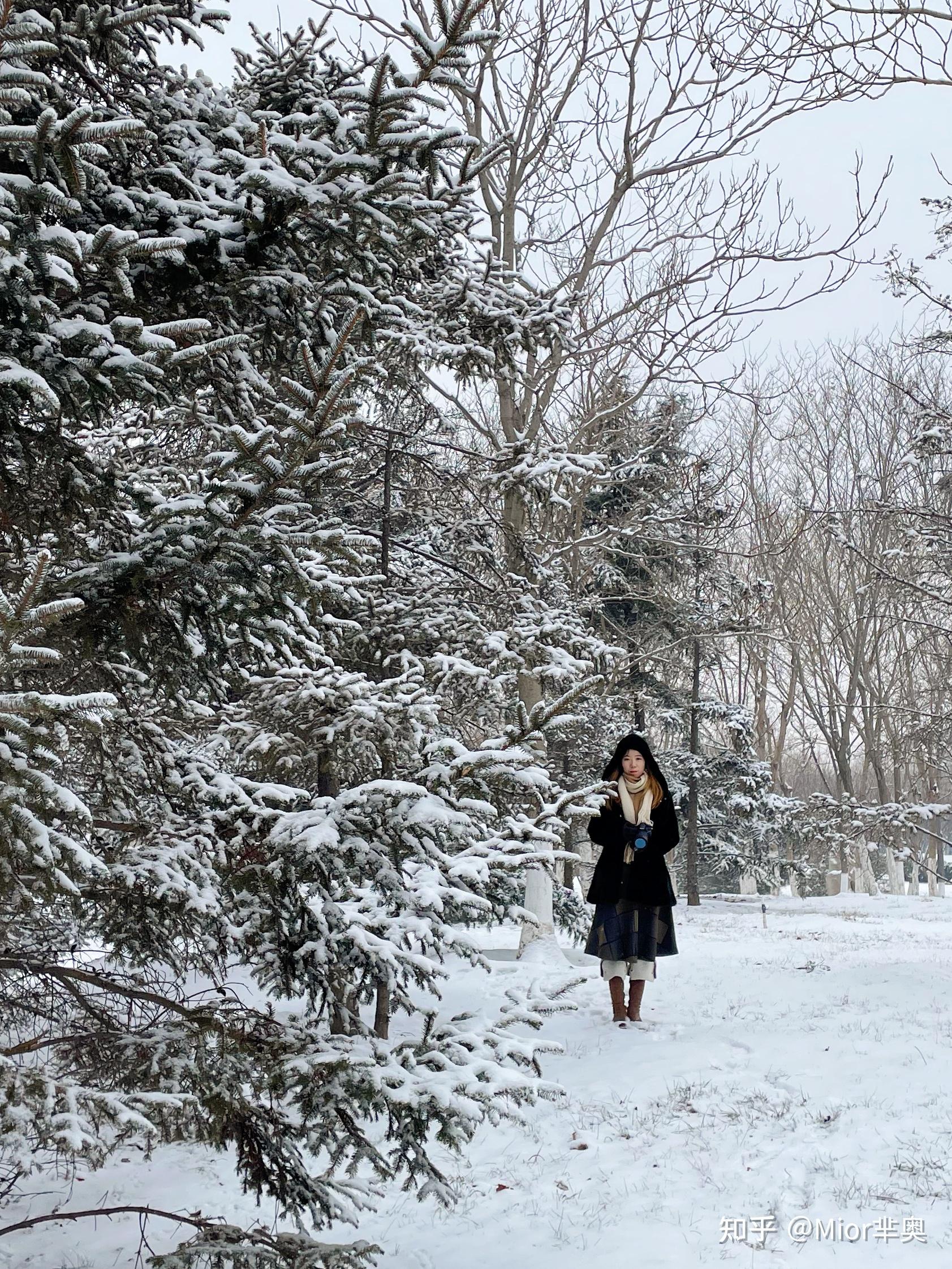 2022年的第一场雪 雪景摄影&后期攻略来咯