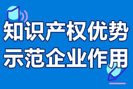 国家知识产权示范企业申报要求知识产权优势示范企业作用