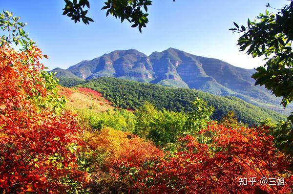 11月出游个性推荐 漫山红叶 丈量秋景 你想要的这里全部都有 知乎