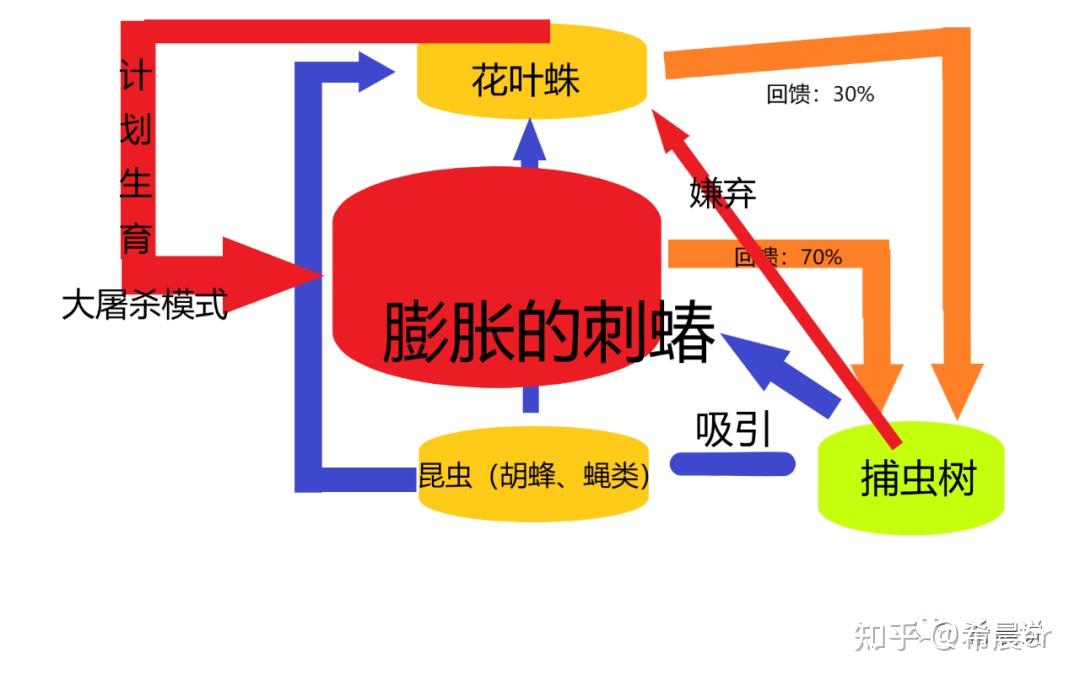 在捕虫树-刺蝽-花叶蛛这三方的对峙与共生中,充分体现了一个词:制衡.