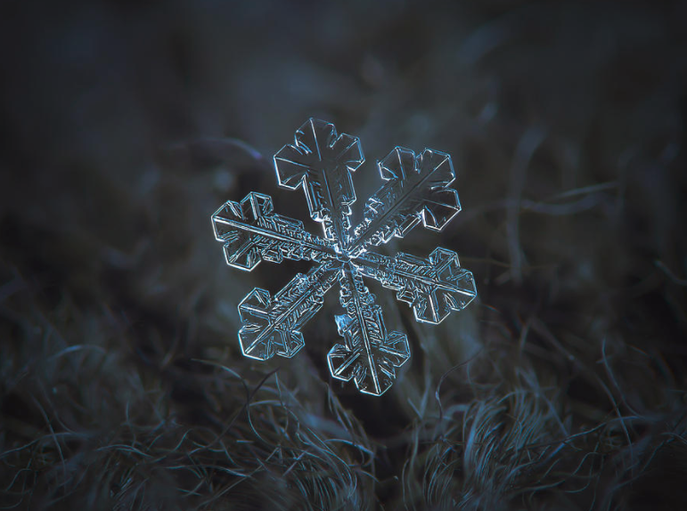 摄影师花微距拍摄的雪花美的一塌糊涂