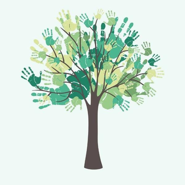 如何解读进化树 系统进化树怎么分析 系统进化树示意图解说