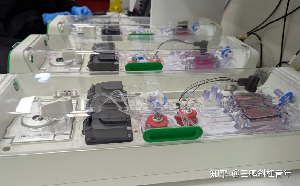 CL1合成生物智能（SBI）：撬动万亿市场的“湿件革命”正在撕裂硅基帝国 - 知乎