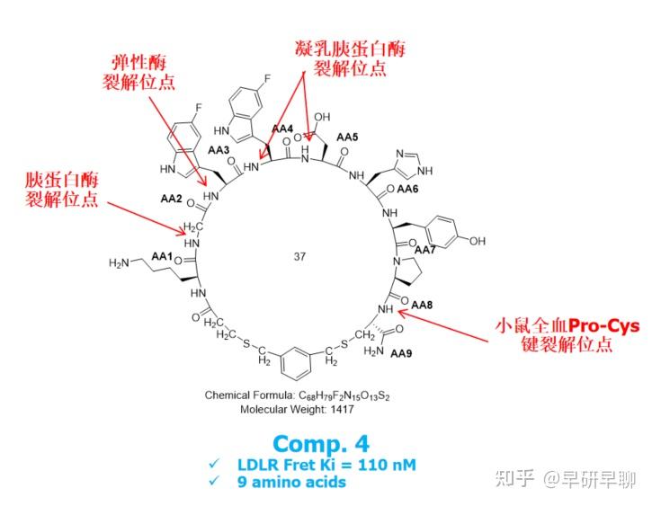 口服降血脂pcsk9抑制劑大環肽mk0616發現之旅