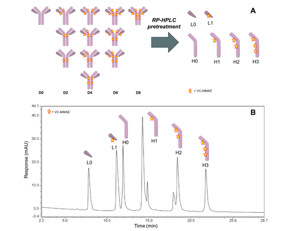 ADC药物抗体比(DAR)的表征分析方法 - 知乎