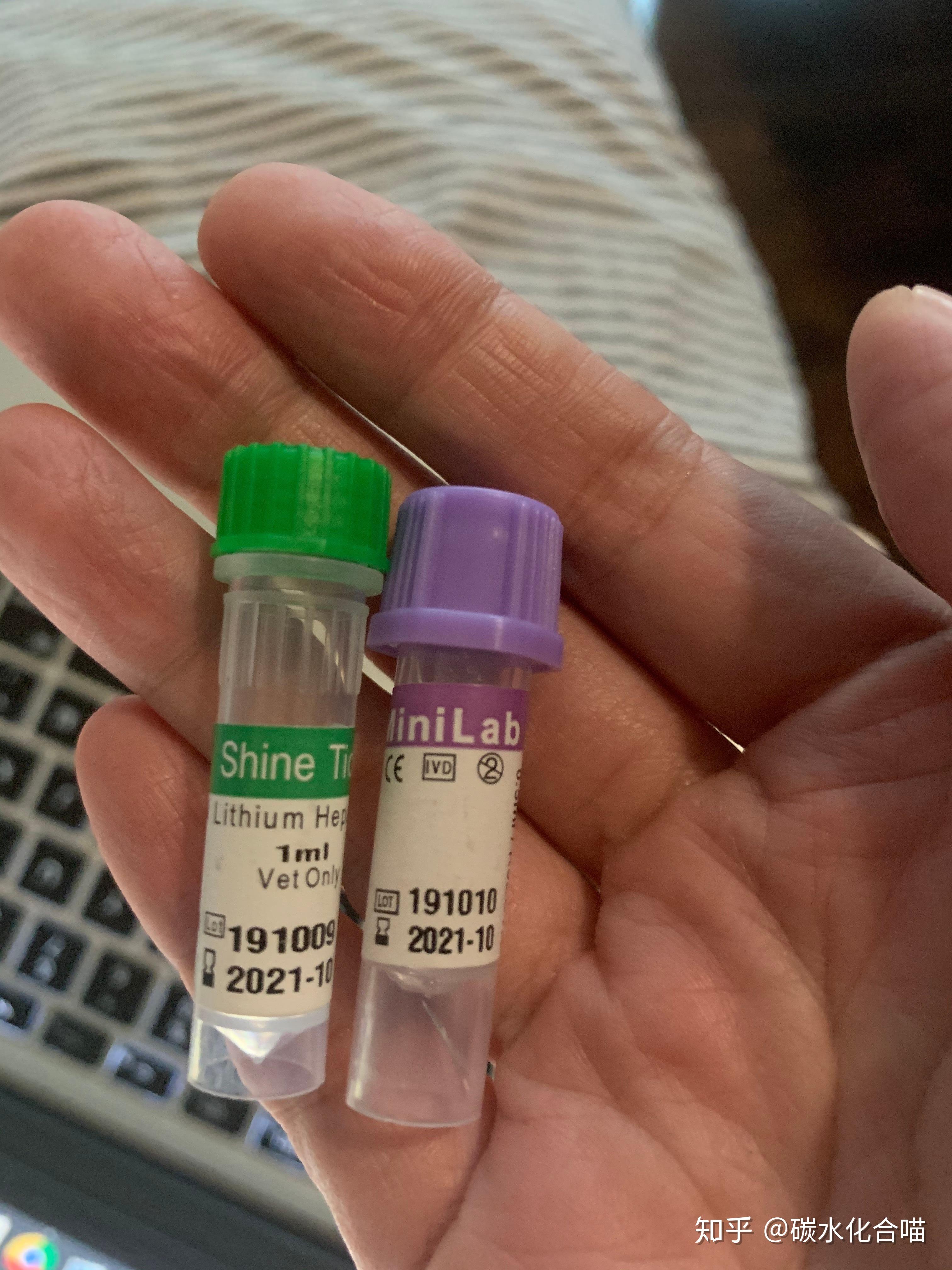 实验室小姑娘给我的血样瓶.