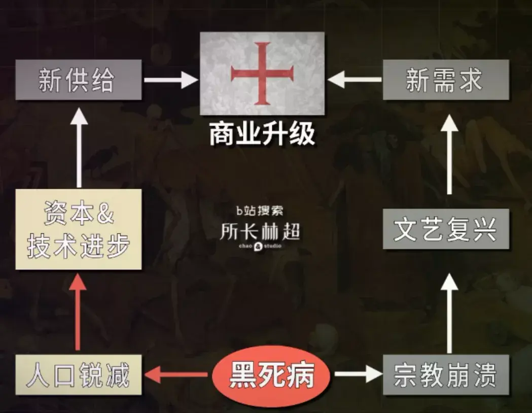 宝藏up所长林超