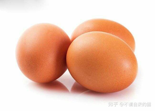 新手入门菜谱【番茄炒鸡蛋】附带详细炒菜注意事项插图11 新手入门菜谱【番茄炒鸡蛋】附带详细炒菜注意事项插图11