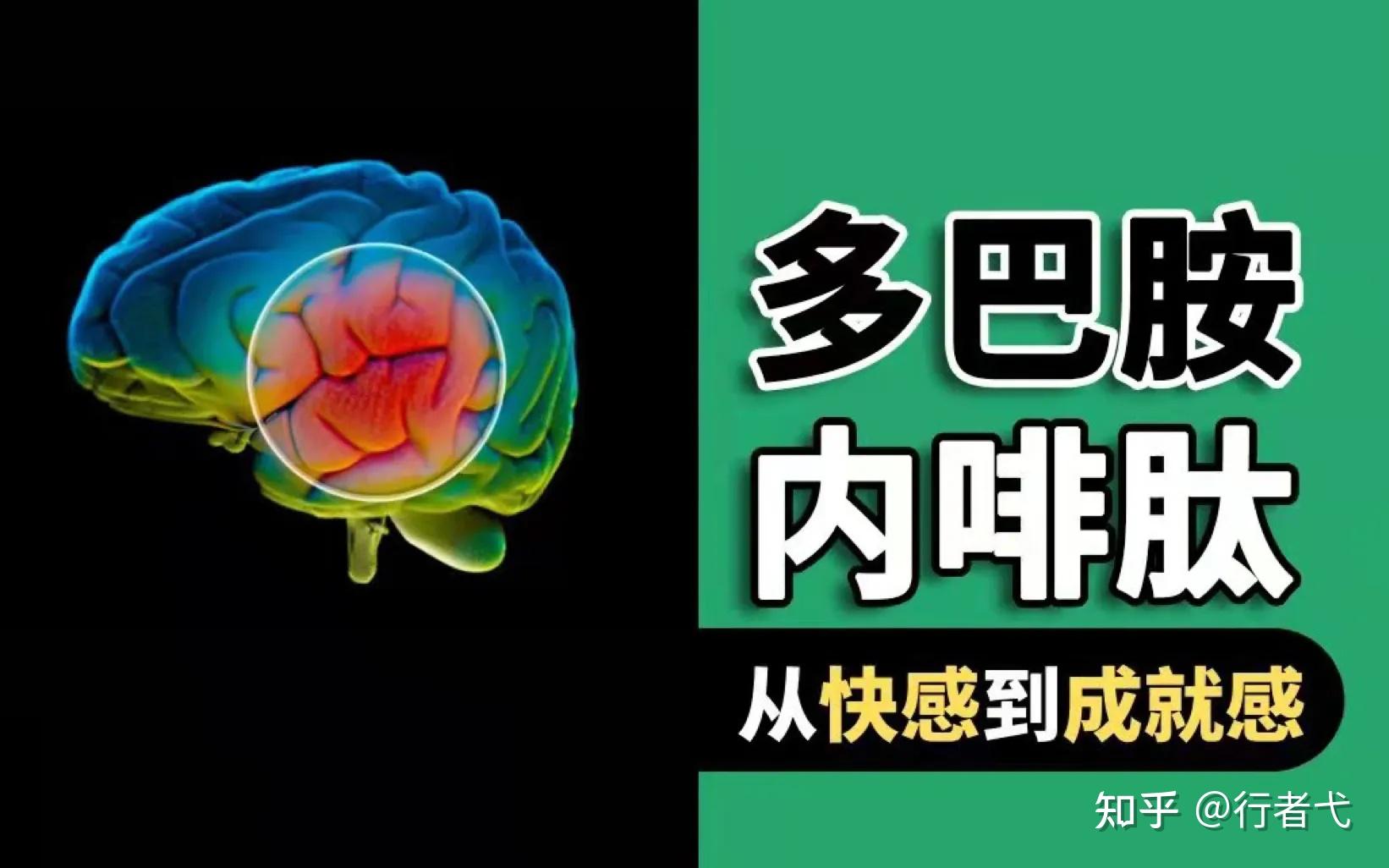 多巴胺快乐和内啡肽快乐,如何鉴别? - 知乎