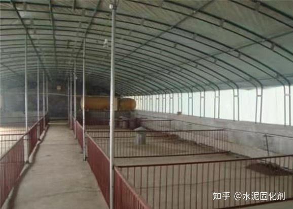 您做到了吗?养猪场猪舍建设中三个必须重视的优先设计 - 知乎