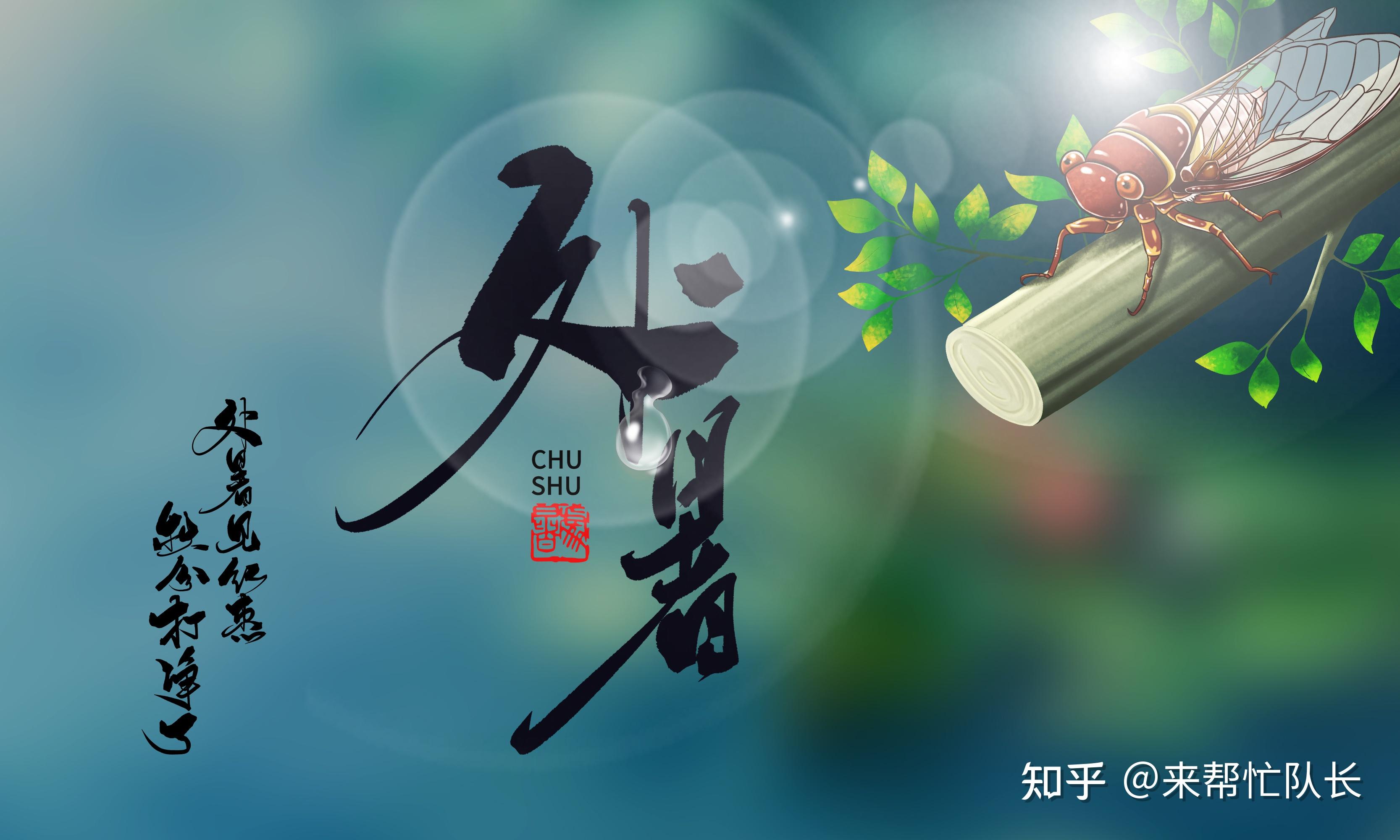 处暑养生攻略来啦滋阴润燥防秋乏