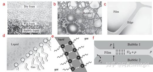 泡沫的微观结构及演变动力学