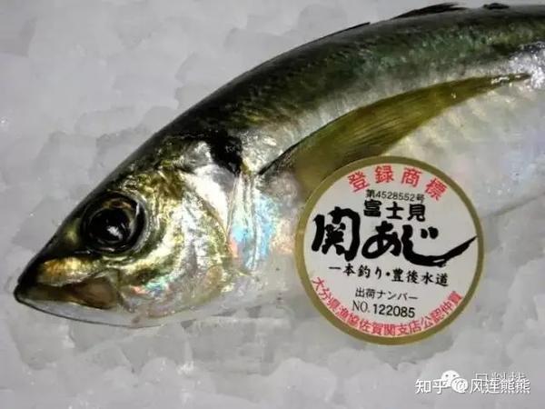 你不知道的竹荚鱼(转自微信公众号“日料栈”) - 知乎