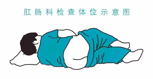 what is the purpose for the appendix