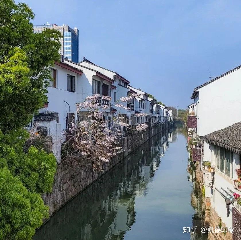 五一假期苏州亲子旅行保姆级攻略！3 天 2 晚漫游指南 - 知乎