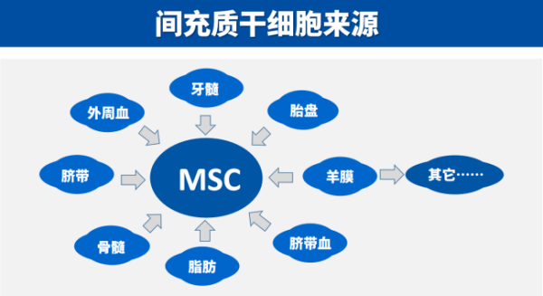 储存间充质干细胞有必要么
