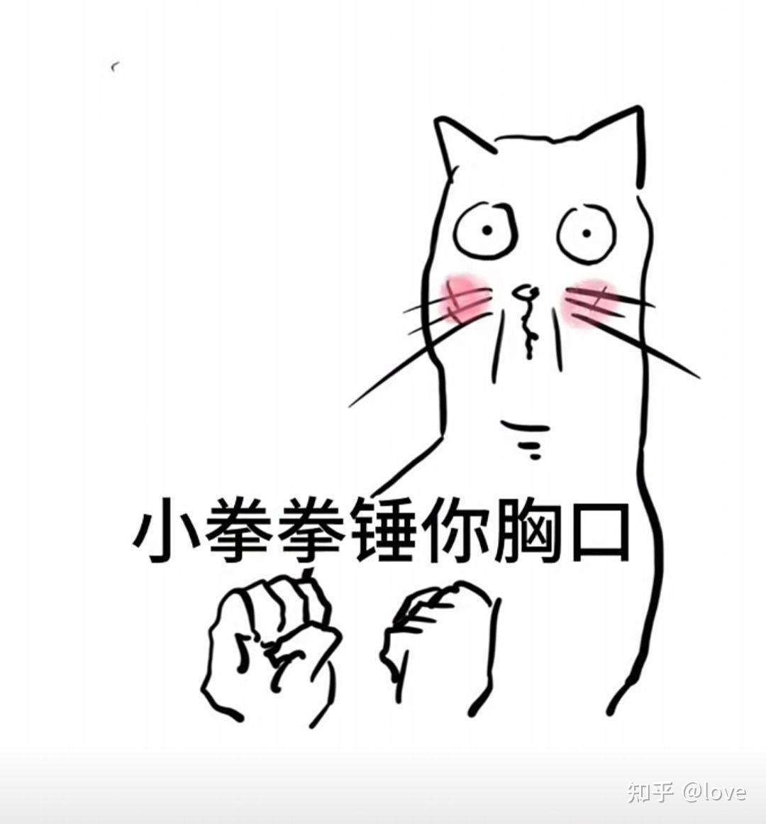 法国人怎么看中国网红Thurman猫一杯? - 哔哩哔哩