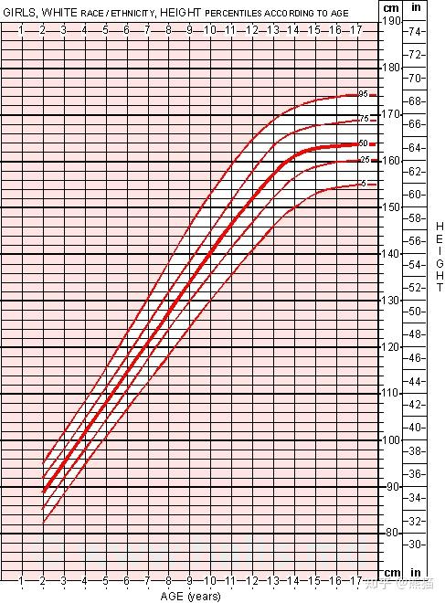 美国青少年身高表图片