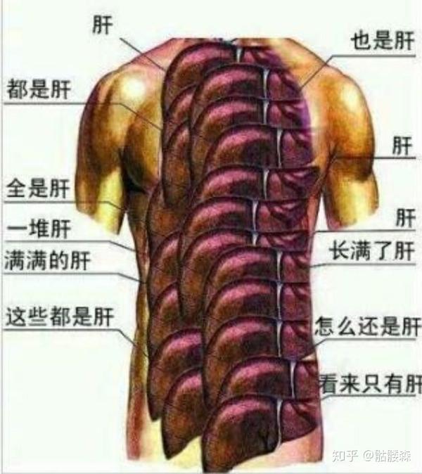 如果我的肝因为你策划的游戏而继续坏死的话,我就跑过去在你面前把我