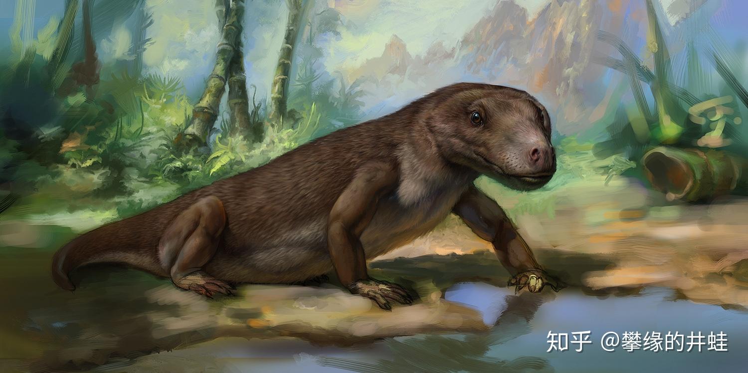 第二百五十六回 百兽图9:白云苍狗 - 知乎