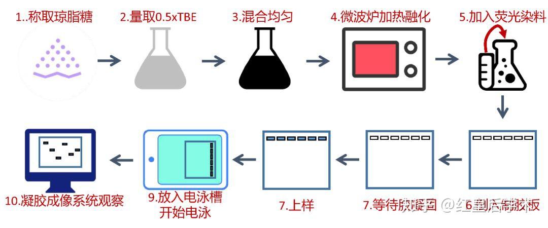 电泳工艺流程图图片