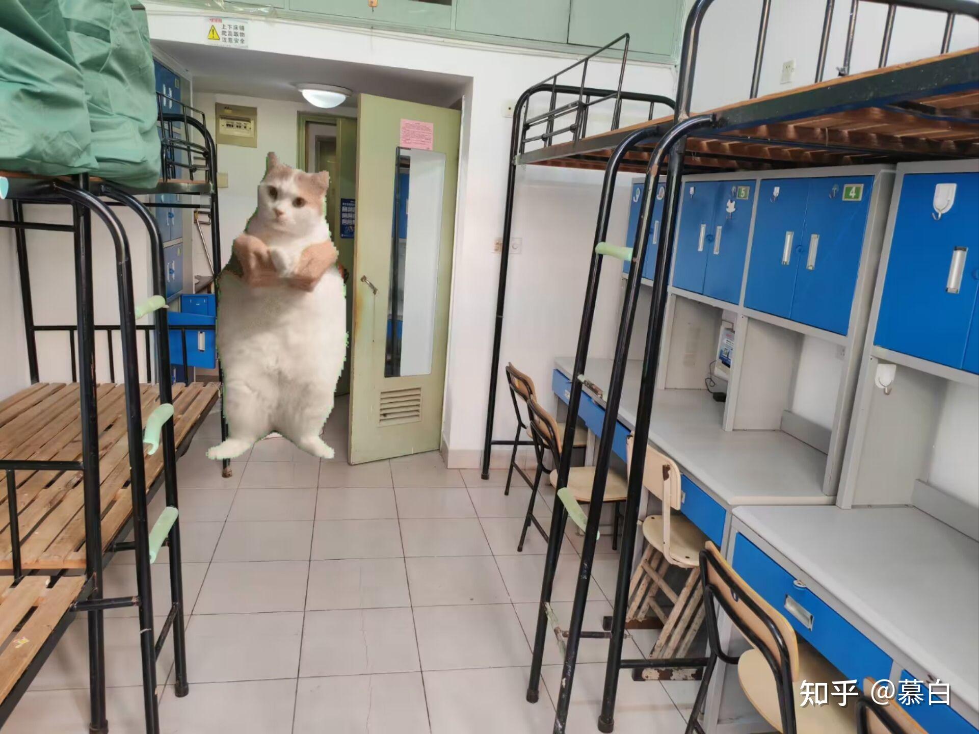 常州工学院宿舍条件如何?校区内有哪些生活设施?