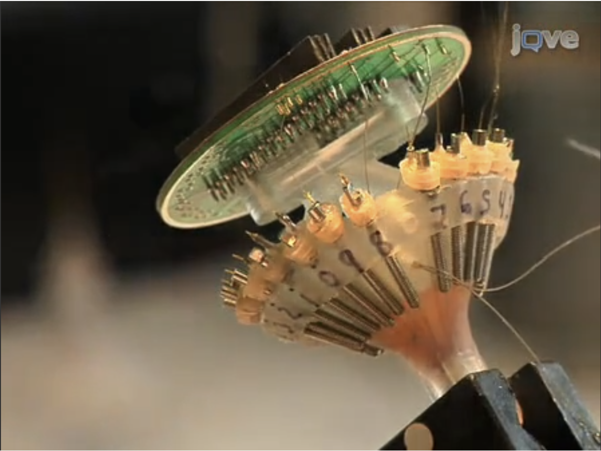 神经科学方法-教你手搓电极 - 知乎